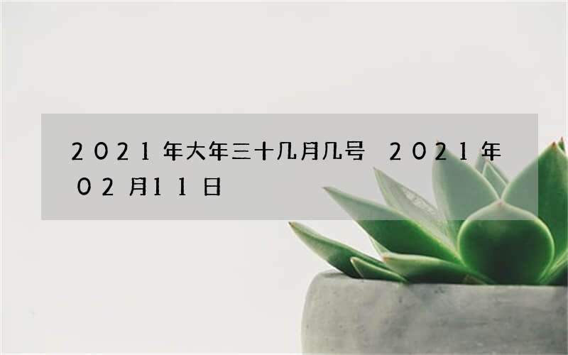 2021年大年三十几月几号 2021年02月11日